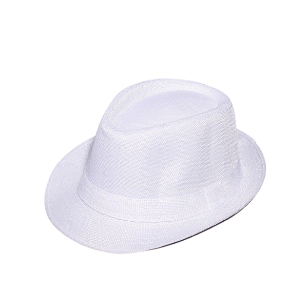 fedora hat